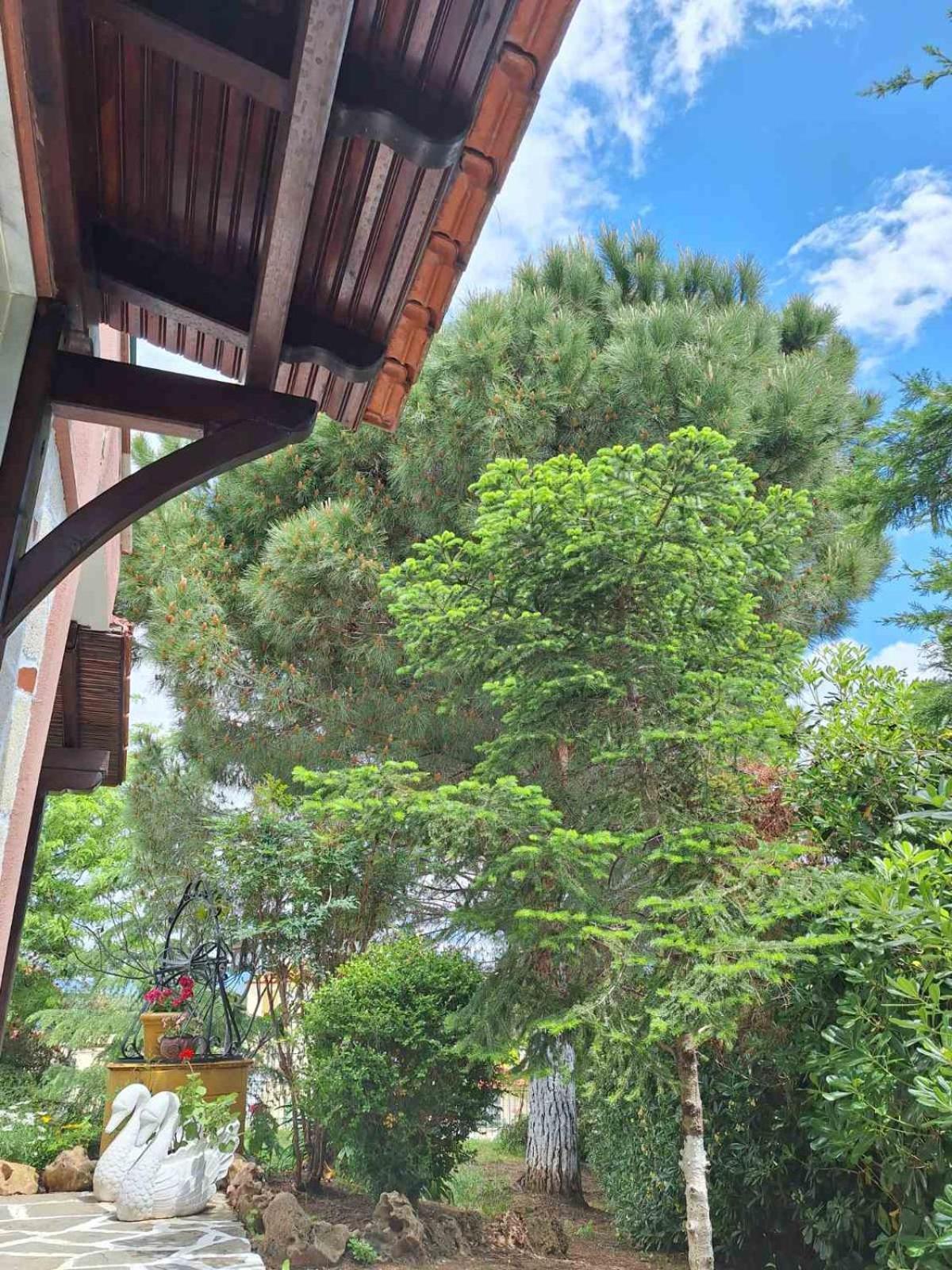 Villa Roadhouse, Nilie Hospitality Mgmt Flogita Exterior foto